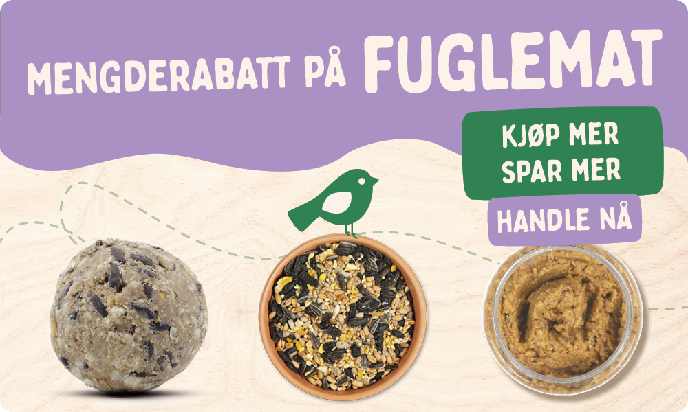 CD-2165_-_Nest_Box_Week_Banner_Sets_NO_Homepage_Mobile_2