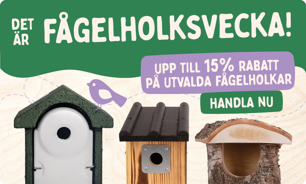 CD-2165_-_Nest_Box_Week_Banner_Sets_SE_Homepage_Mobile_1