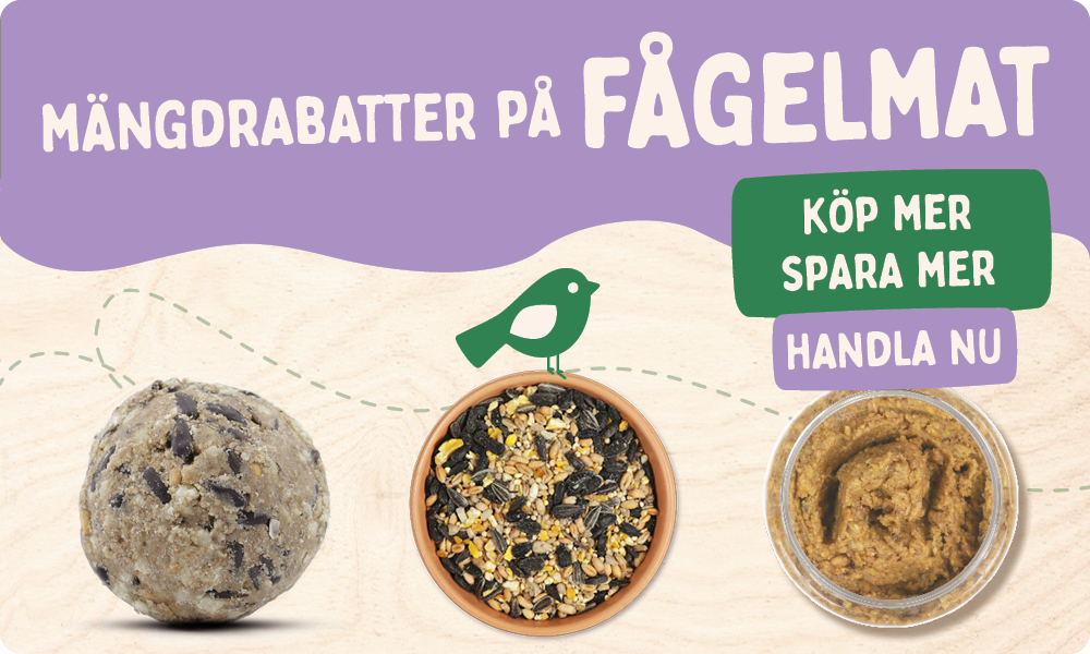 CD-2165_-_Nest_Box_Week_Banner_Sets_SE_Homepage_Mobile_2