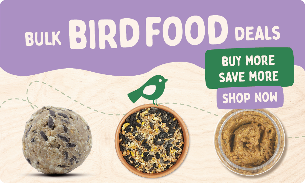 CD-2165_-_Nest_Box_Week_Banner_Sets_UK_IE_Homepage_Mobile_2