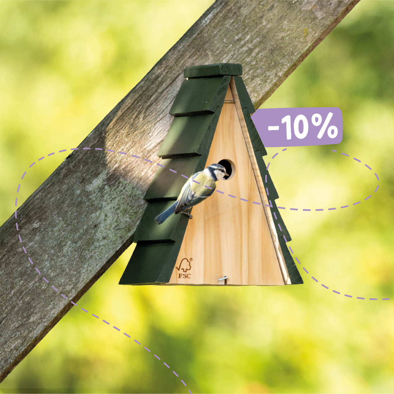 CD-2166_-_Week_of_the_Nest_Box_Landingpage_Images2