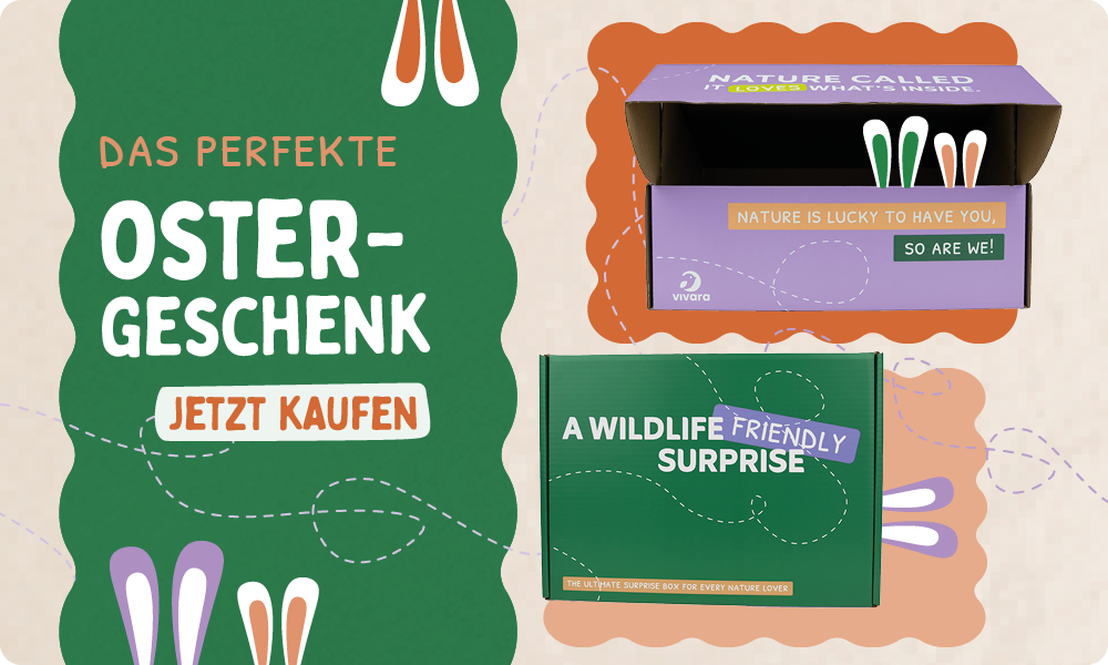 CD-2176_-_Surprise_Boxes_-_Easter_Gift_DE_AT_Homepage_Mobile