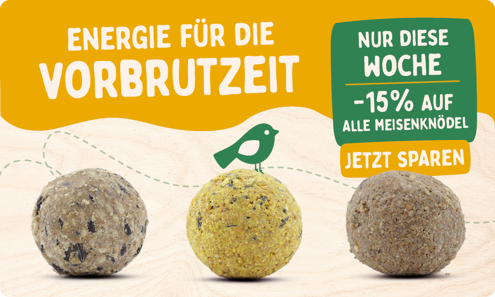 CD-2177-_Banner_Fat_Ball_Deal_DE_AT_Homepage_Mobile