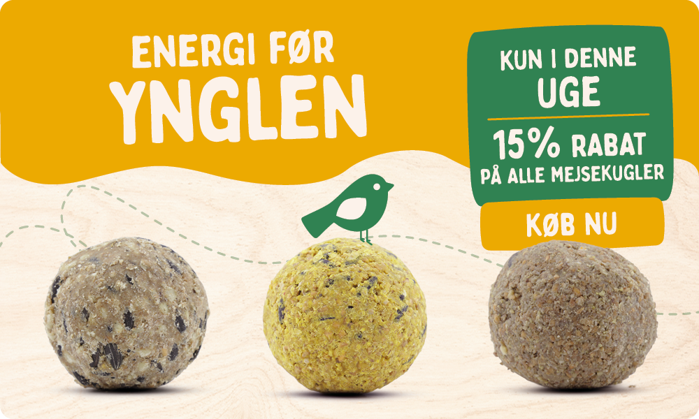 CD-2177-_Banner_Fat_Ball_Deal_DK_Homepage_Mobile