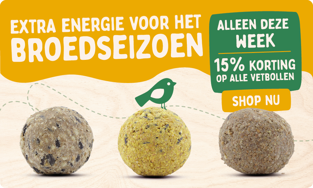 CD-2177-_Banner_Fat_Ball_Deal_NL_BE_Homepage_Mobile