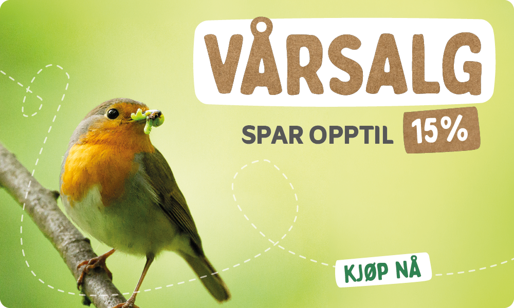 CD-2179_-_Spring_Sale_Banner_Sets_1_-_AB_testing_NO_Homepage_Mobile