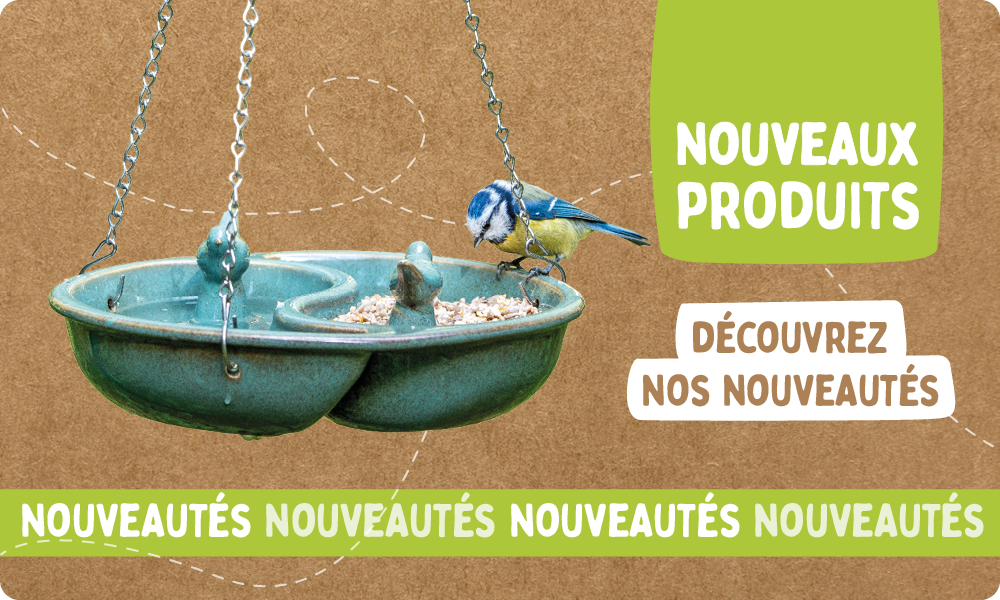 CD-2197_Banner_Homepage_NEW_FR_BE_Homepage_Mobile