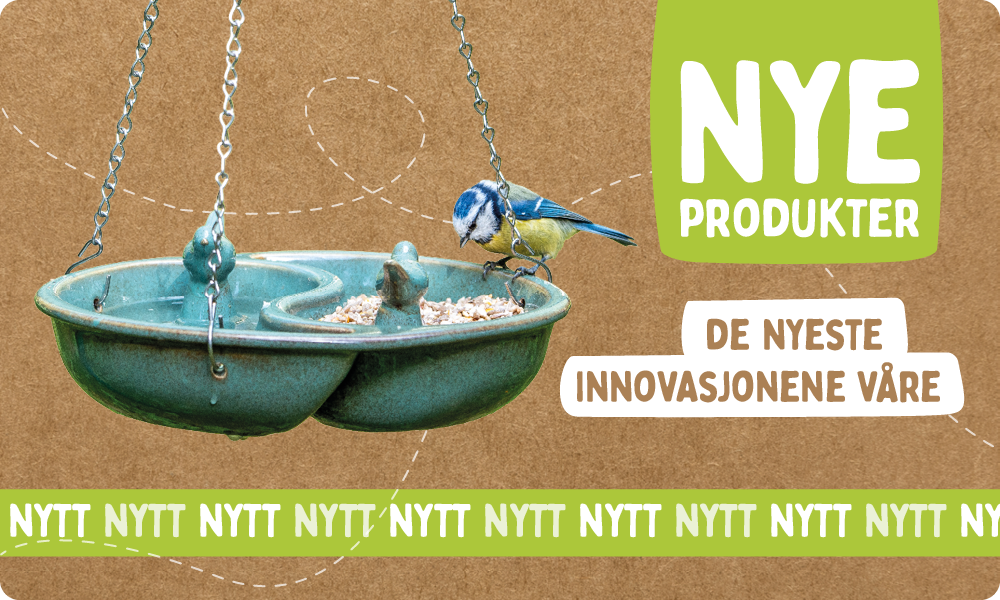 CD-2197_Banner_Homepage_NEW_NO_Homepage_Mobile