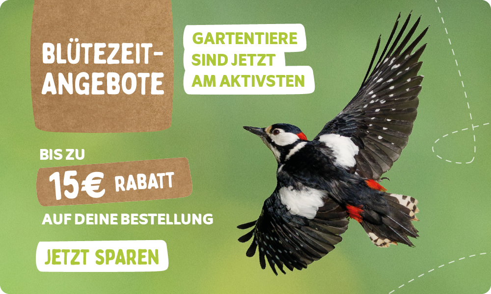 CD-2224_-_May_Campaign_DE_Homepage_Desktop_Mobile