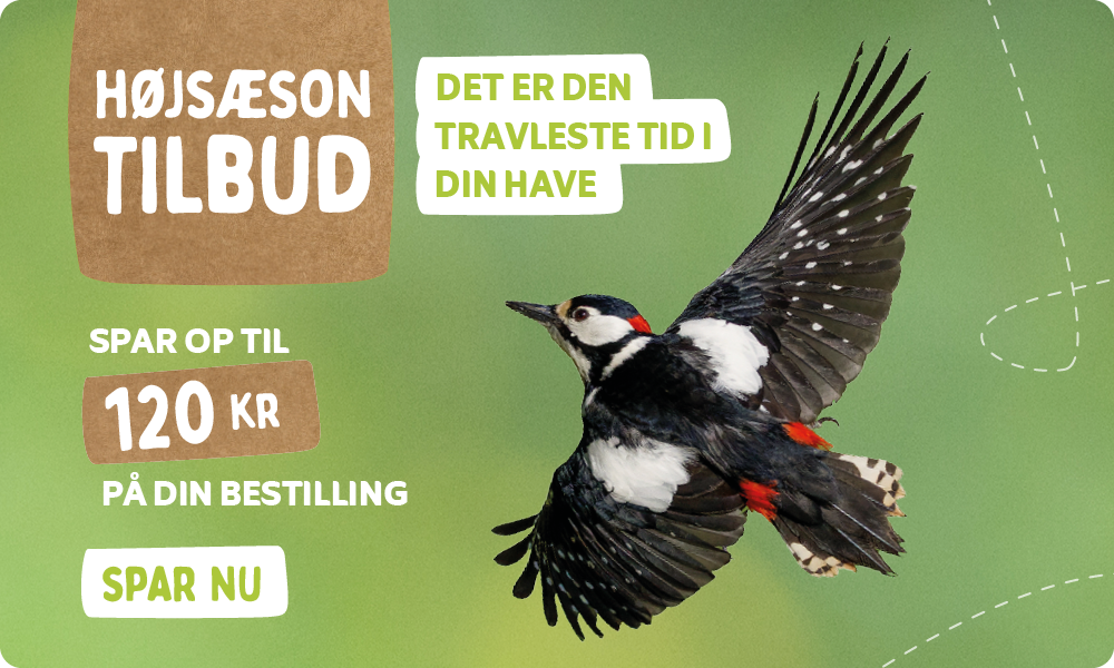 CD-2224_-_May_Campaign_DK_Homepage_Desktop_Mobile