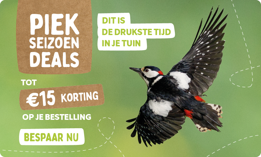 CD-2224_-_May_Campaign_NL_Homepage_Desktop_Mobile