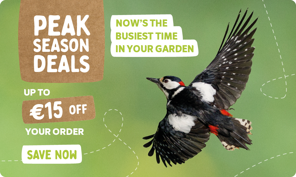 CD-2224_-_May_Campaign_UK_Homepage_Desktop_Mobile_1_