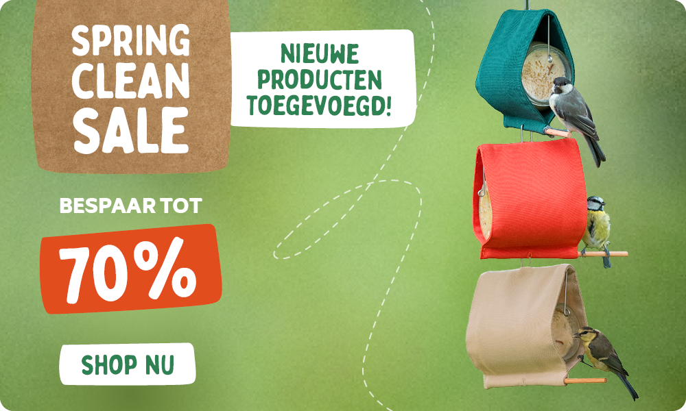 CD-2240_-_Spring_Clean_Banner_NL_Round_2_Homepage_Desktop_Mobile