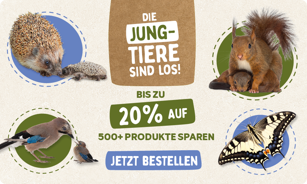 CD-2245_-_Banner_June_Campaign_DE_AT_Homepage_Desktop_Mobile_1_