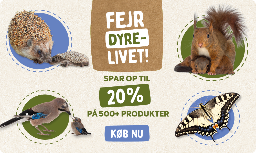 CD-2245_-_Banner_June_Campaign_DK_Homepage_Desktop_Mobile_1_