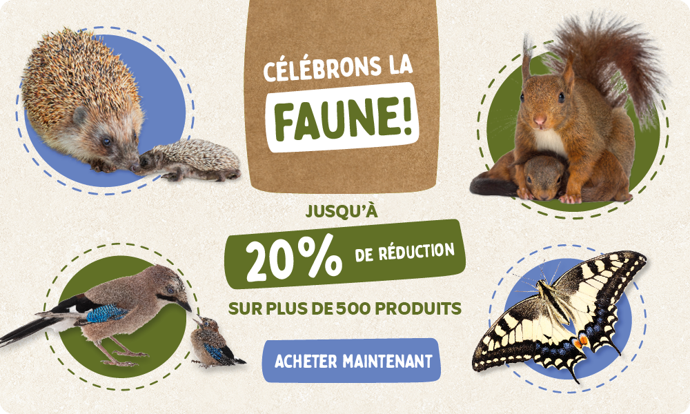 CD-2245_-_Banner_June_Campaign_FR_Homepage_Desktop_Mobile_1_