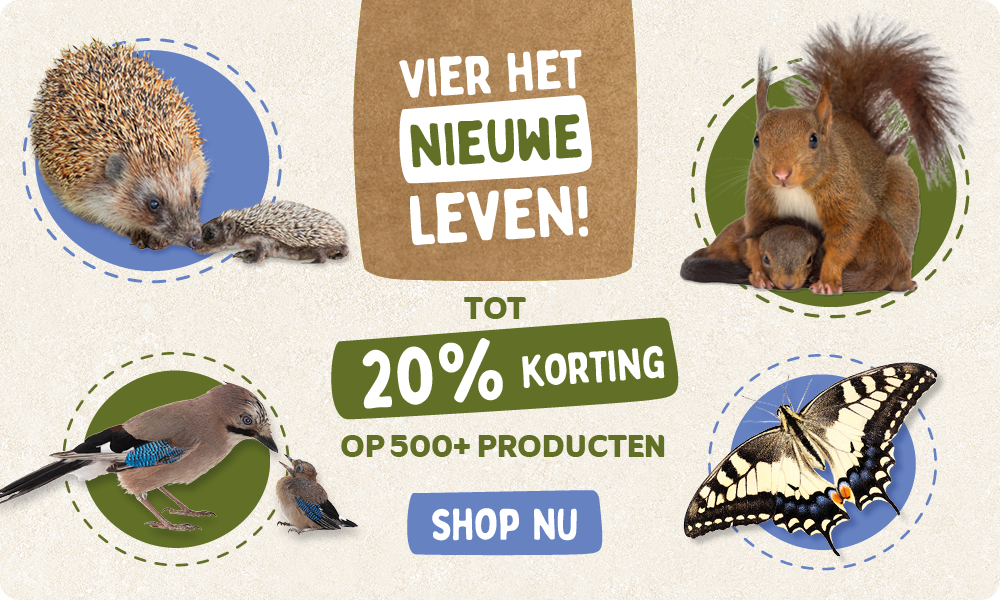 CD-2245_-_Banner_June_Campaign_NL_BE_Homepage_Desktop_Mobile_1_