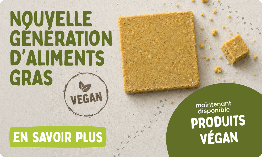 CD-2255_-_Banners_Vegan_Fat_Launch_FR_Homepage_Mobile
