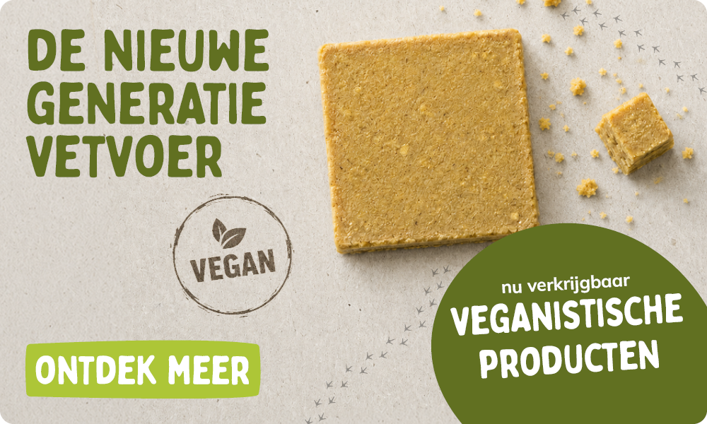 CD-2255_-_Banners_Vegan_Fat_Launch_NL_Homepage_Mobile