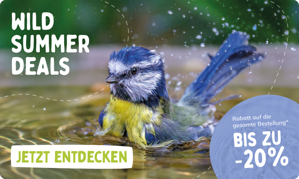 CD-2264_-_July_Main_Campaign_Banner_Sets_DE_Homepage_Mobile
