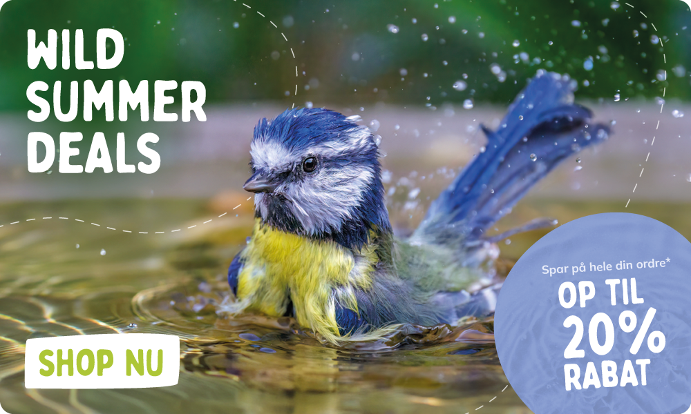 CD-2264_-_July_Main_Campaign_Banner_Sets_DK_Homepage_Mobile