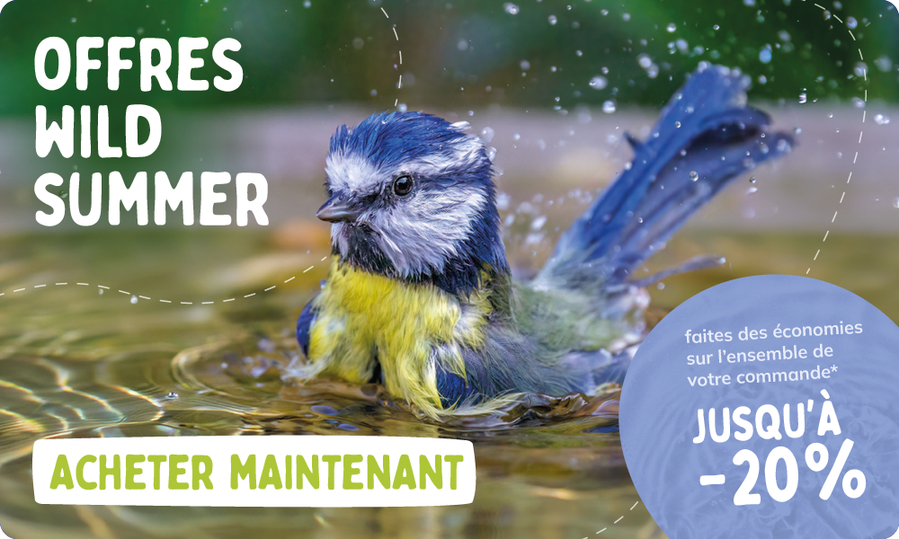 CD-2264_-_July_Main_Campaign_Banner_Sets_FR_Homepage_Mobile