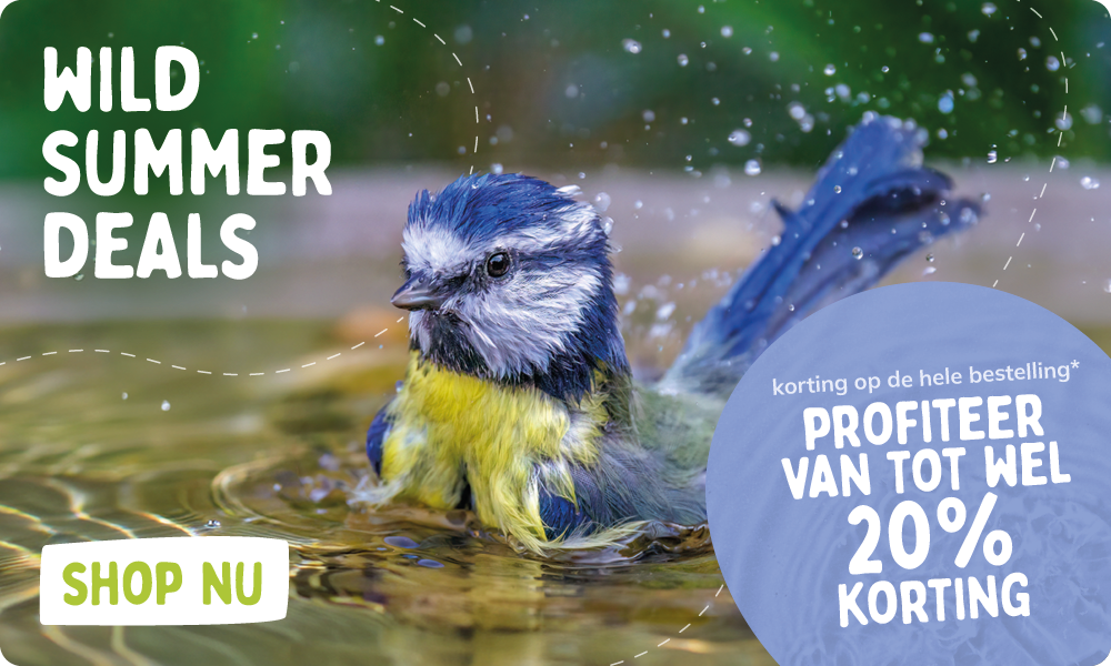 CD-2264_-_July_Main_Campaign_Banner_Sets_NL_Homepage_Mobile