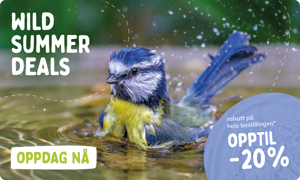 CD-2264_-_July_Main_Campaign_Banner_Sets_NO_Homepage_Mobile