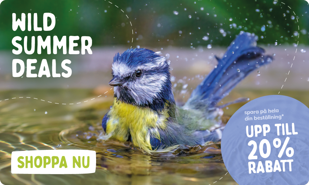 CD-2264_-_July_Main_Campaign_Banner_Sets_SE_Homepage_Mobile