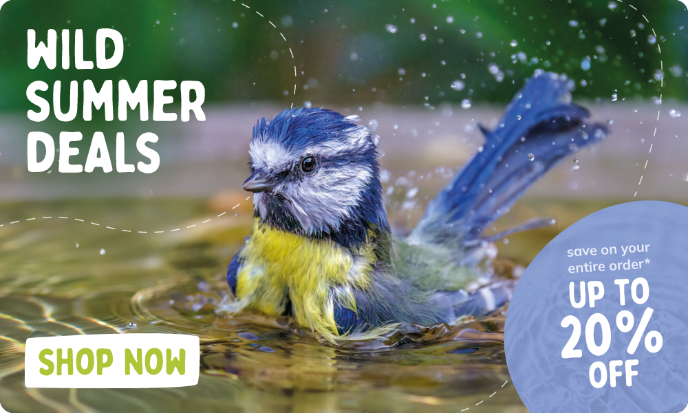 CD-2264_-_July_Main_Campaign_Banner_Sets_UK_Homepage_Mobile_HR