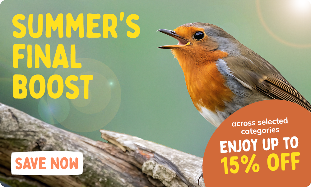 CD-2308_-_August_Main_Banner-Bird-UK_Homepage_Mobile