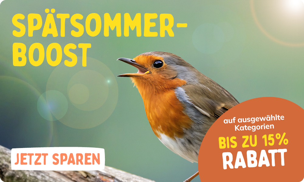 CD-2308_-_August_Main_Banner-Bird_DE_Homepage_Mobile