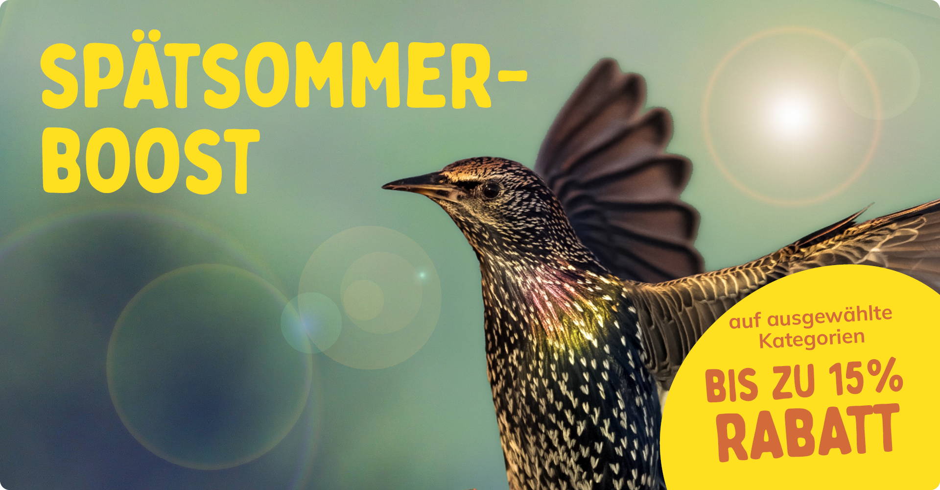 CD-2308_-_August_Main_Banner-Bird_DE_Landingpage_Mobile_1
