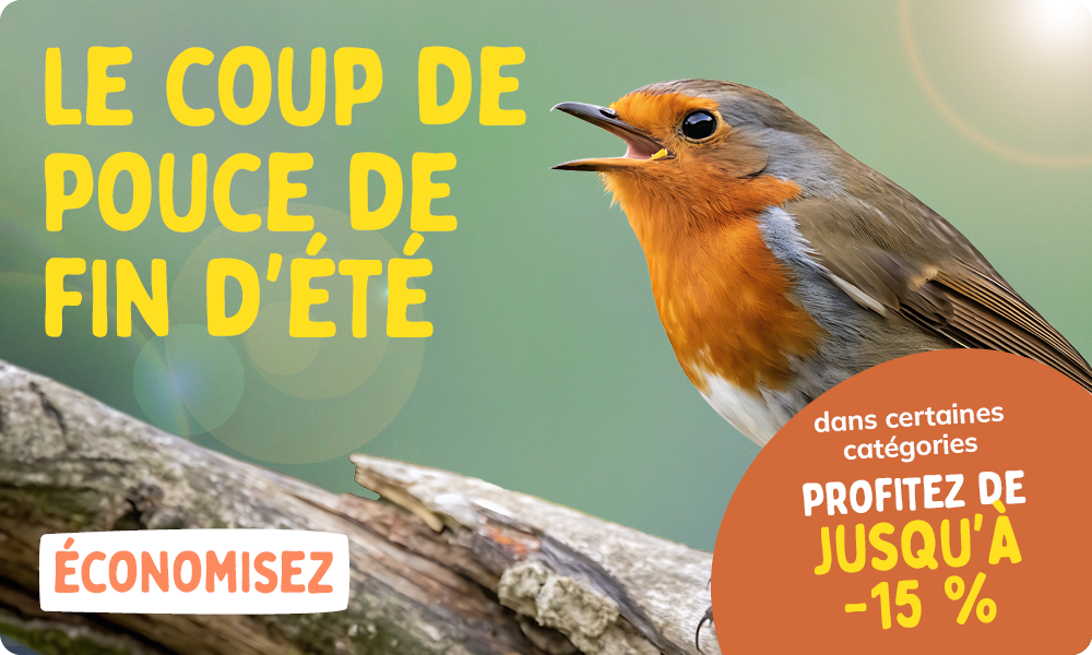 CD-2308_-_August_Main_Banner-Bird_FR_Homepage_Mobile