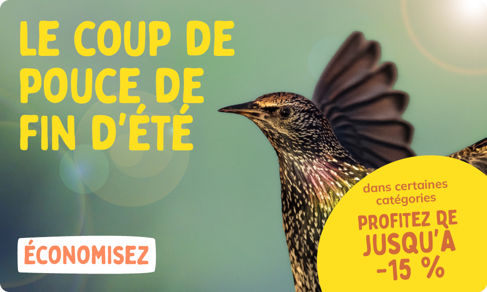 CD-2308_-_August_Main_Banner-Bird_FR_Homepage_Mobile_1