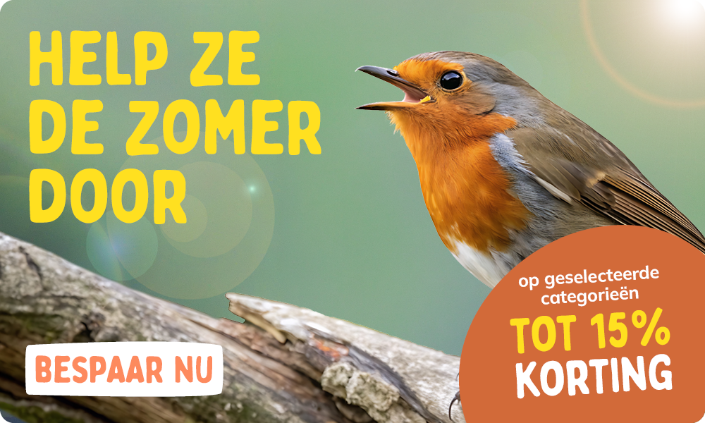 CD-2308_-_August_Main_Banner-Bird_NL_Homepage_Mobile