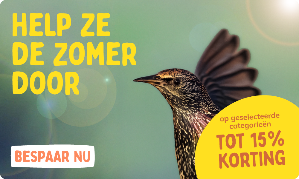 CD-2308_-_August_Main_Banner-Bird_NL_Homepage_Mobile_1