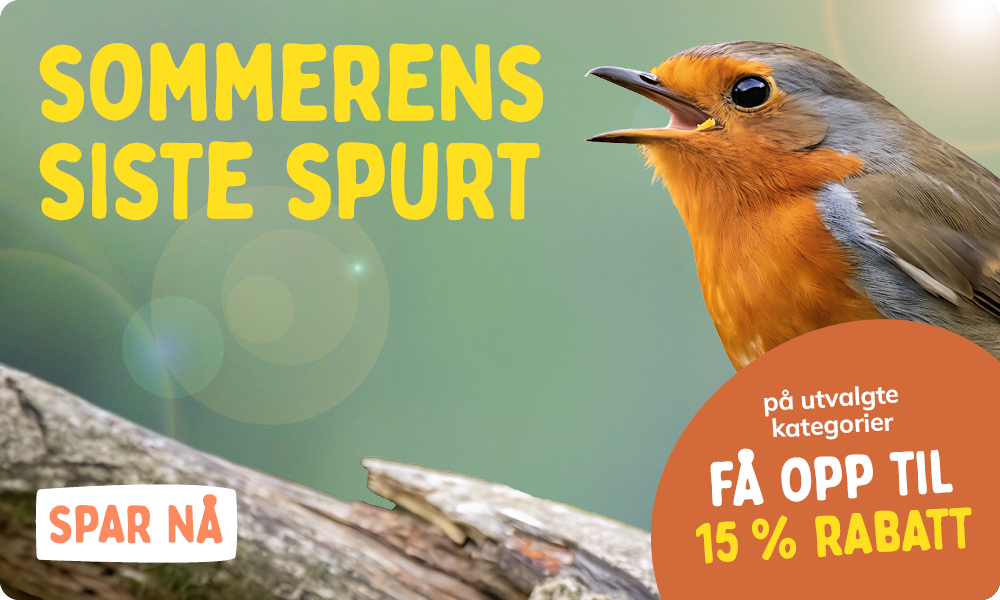 CD-2308_-_August_Main_Banner-Bird_NO_Homepage_Mobile