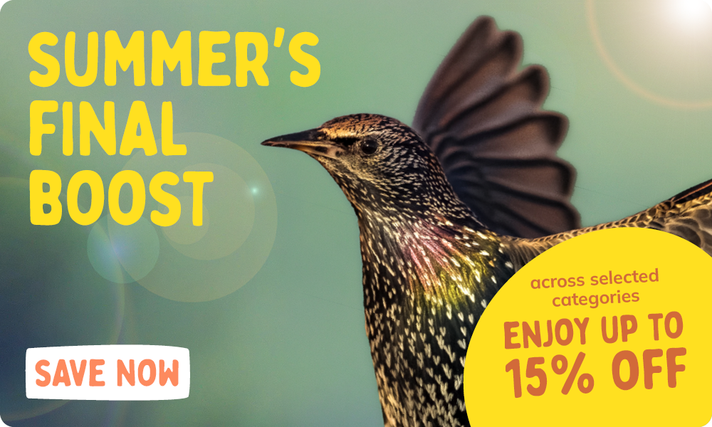 CD-2308_-_August_Main_Banner-Bird_UK_Homepage_Mobile