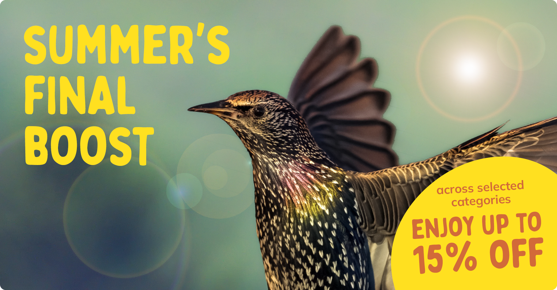 CD-2308_-_August_Main_Banner-Bird_UK_Landingpage_Mobile