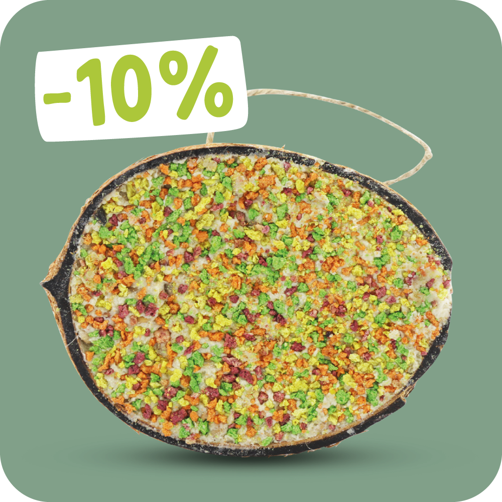 CD-2320_-_Landingpage_Images_Bird_Food_Mobile