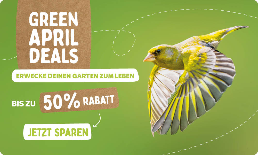 CD-_2209_-_Green_April_Deal_-_Banner_DE_AT_Homepage_Desktop_Mobile