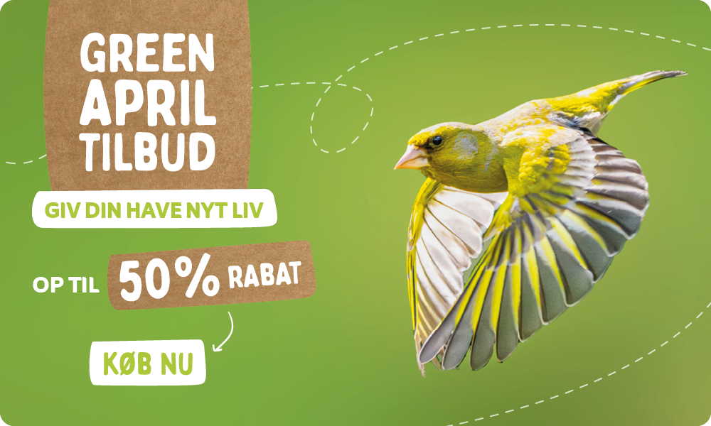 CD-_2209_-_Green_April_Deal_-_Banner_DK_Homepage_Desktop_Mobile