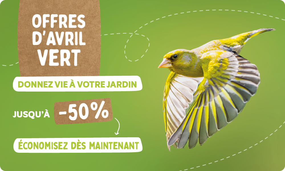CD-_2209_-_Green_April_Deal_-_Banner_FR_BE_Homepage_Desktop_Mobile