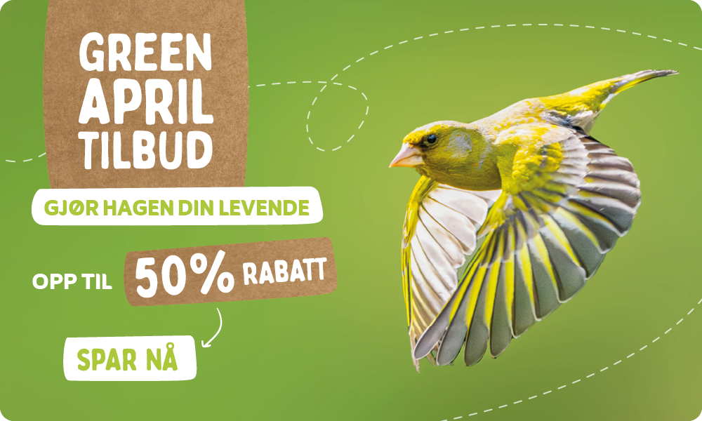 CD-_2209_-_Green_April_Deal_-_Banner_NO_Homepage_Desktop_Mobile_1