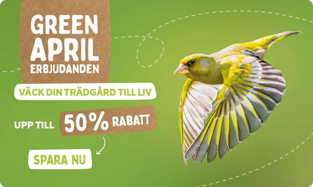 CD-_2209_-_Green_April_Deal_-_Banner_SE_Homepage_Desktop_Mobile