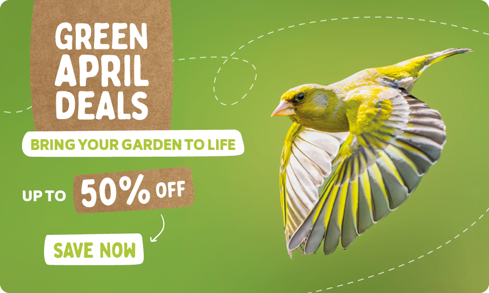 CD-_2209_-_Green_April_Deal_-_Banner_UK_IE_Homepage_Desktop_Mobile