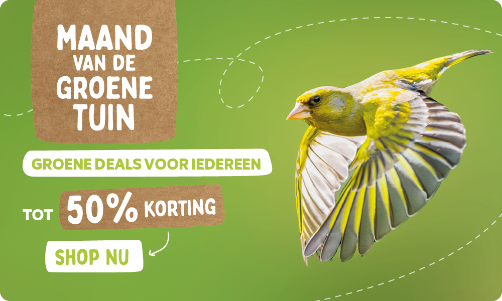 CD-_2209_-_Maand_van_de_groene_tuin_-_Banner_NL_BE_Homepage_Desktop_Mobile