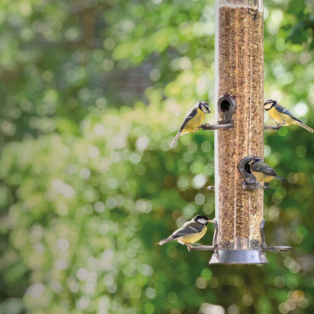 Hygiene_picture_for_website_1000x1000_2