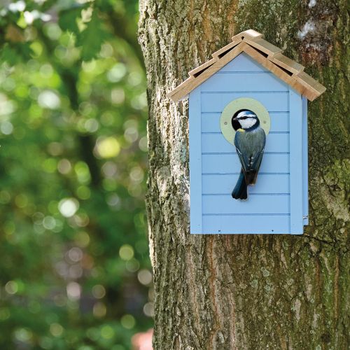 Hygiene_picture_for_website_1000x1000_3